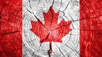 Canadian Flag